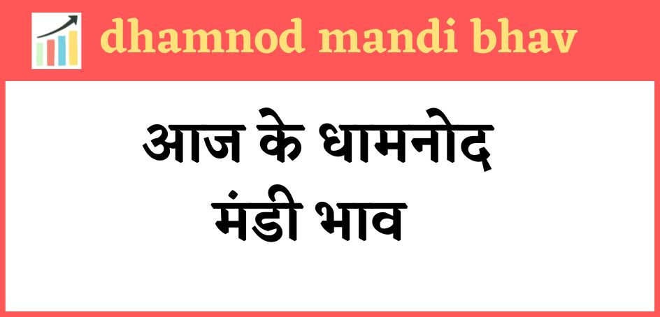 dhamnod mandi bhav today